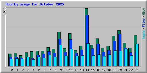 Hourly usage for October 2025